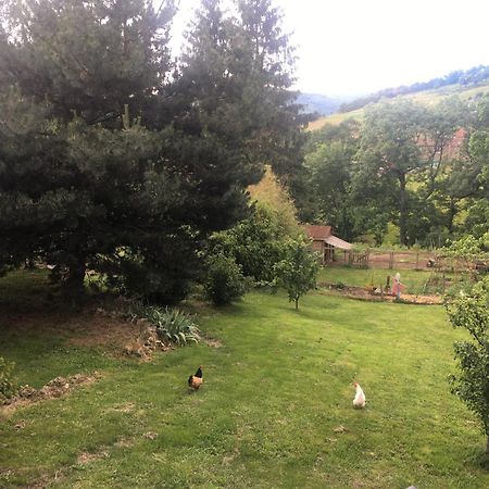 Gites De Gobertier Saint-Alban-d'Ay Buitenkant foto