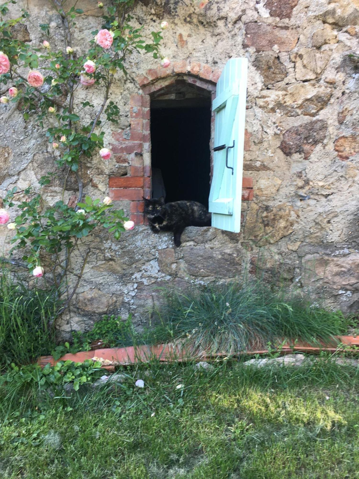 Gites De Gobertier Saint-Alban-d'Ay Buitenkant foto